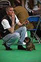 Crufts2011_2 668